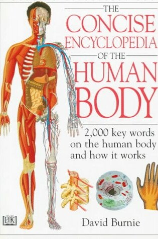 Cover of Concise Encyclopedia of the Human Body