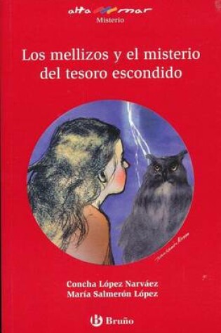 Cover of Los Mellizos y El Misterio del Tesoro Escondido