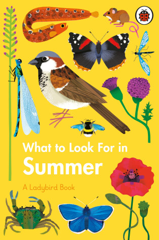 Cover of What to Look For in Summer