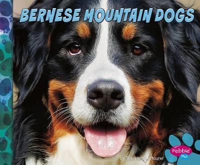 Book cover for Bernese Mountain Dogs