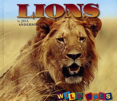 Book cover for Lions