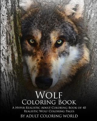 Cover of Wolf Coloring Book