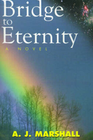 Cover of Bridge to Eternity