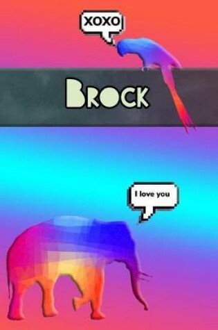 Cover of Colorful Jungle Brock