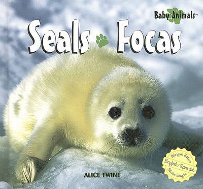Book cover for Seals / Focas