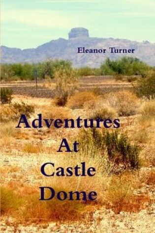 Cover of Adventures At Castle Dome