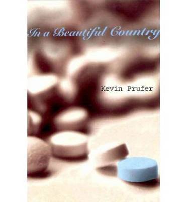 Book cover for In a Beautiful Country