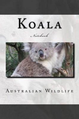 Book cover for Koala