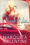 Book cover for Picture Perfect Lie
