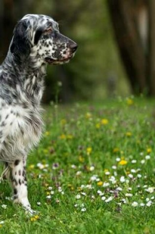 Cover of English Setter