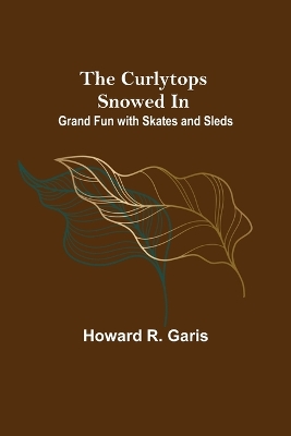 Book cover for The Curlytops Snowed In; Grand Fun with Skates and Sleds