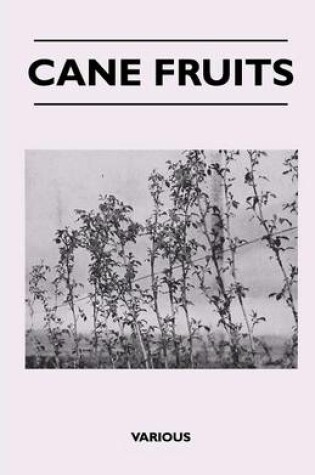 Cover of Cane Fruits