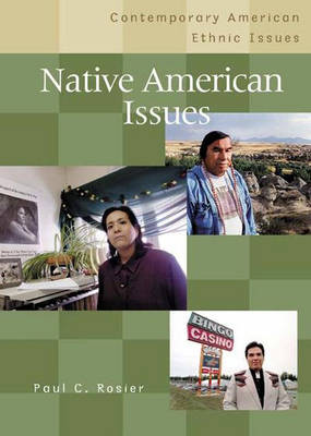 Book cover for Native American Issues