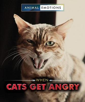 Book cover for When Cats Get Angry