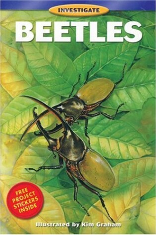 Cover of Bcp Investigate Series: Beetles