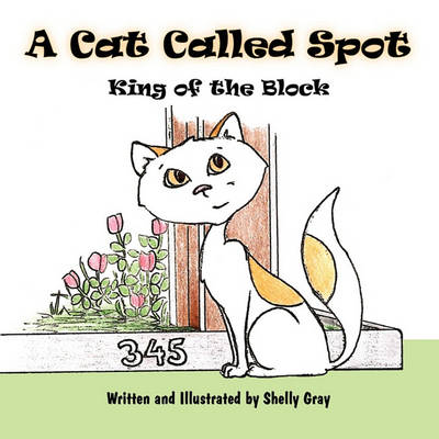 Book cover for A Cat Called Spot