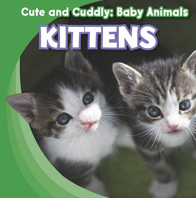 Book cover for Kittens