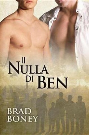 Cover of Il Nulla Di Ben