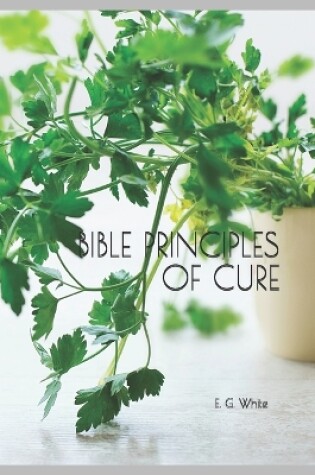 Cover of Bible Principles of Cure