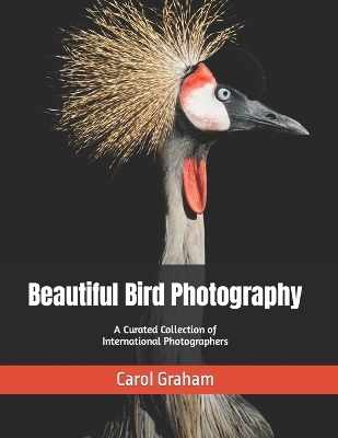 Book cover for Beautiful Bird Photography