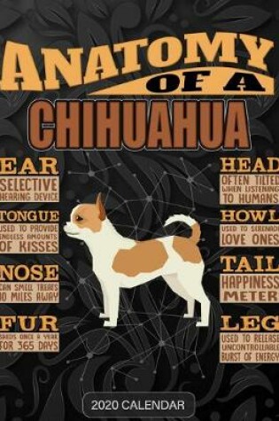 Cover of Anatomy Of A Chihuahua