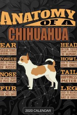 Book cover for Anatomy Of A Chihuahua