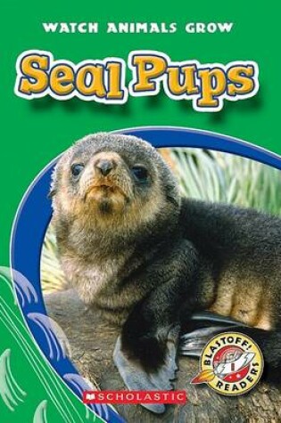 Cover of Seal Pups