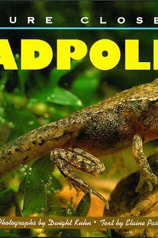 Cover of Tadpoles