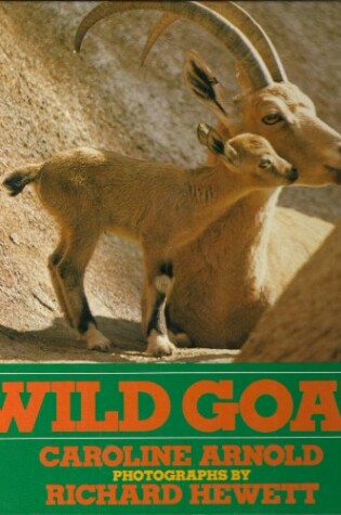 Cover of Wild Goat