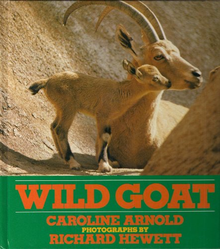 Book cover for Wild Goat