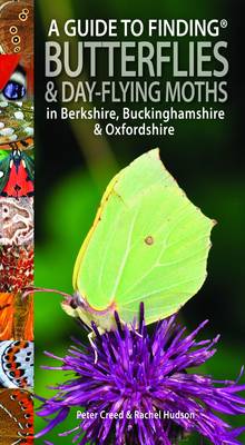 Book cover for A Guide to Finding Butterflies and Day-Flying Moths in Berkshire, Buckinghamshire and Oxfordshire