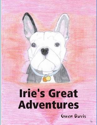 Book cover for Irie's Great Adventures