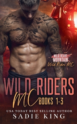 Book cover for Wild Riders MC Books 1-3