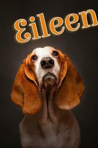 Cover of Eileen