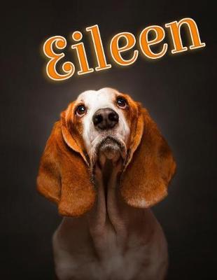 Book cover for Eileen