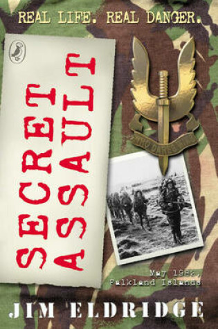 Cover of Secret Assault