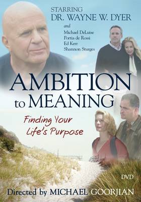 Book cover for Ambition to Meaning