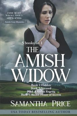 Cover of Amish Cozy Mysteries