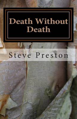 Book cover for Death Without Death