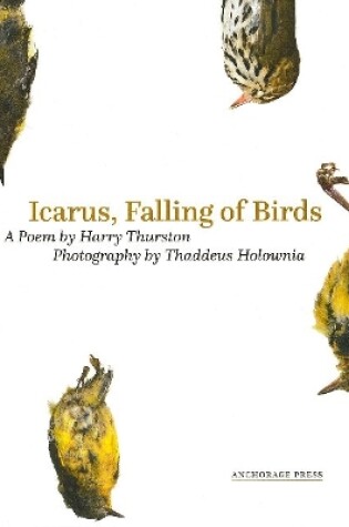 Cover of Icarus, Falling of Birds