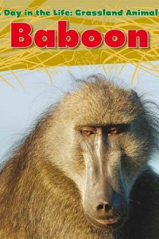 Cover of Baboon (A Day in the Life: Grassland Animals)