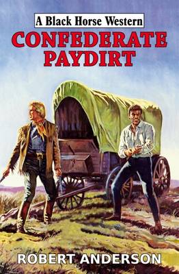 Book cover for Confederate Paydirt