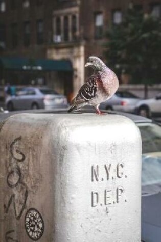 Cover of New York City Pigeon-Notebook