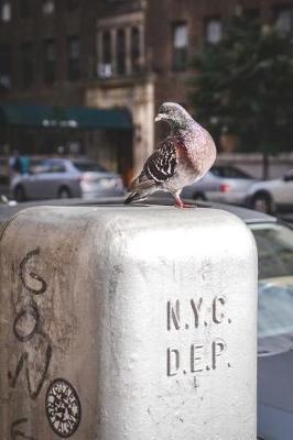 Book cover for New York City Pigeon-Notebook