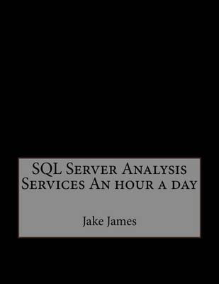 Book cover for SQL Server Analysis Services an Hour a Day