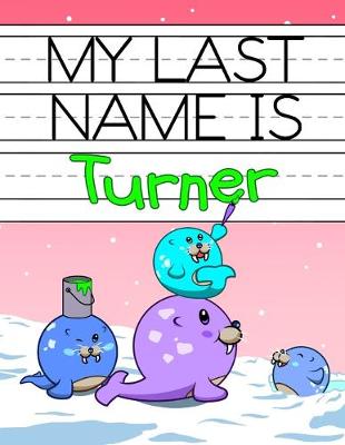 Book cover for My Last Name is Turner