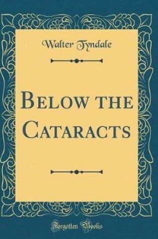 Cover of Below the Cataracts (Classic Reprint)