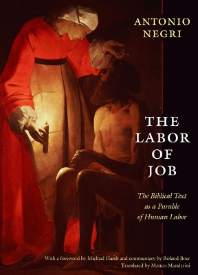 Book cover for The Labor of Job