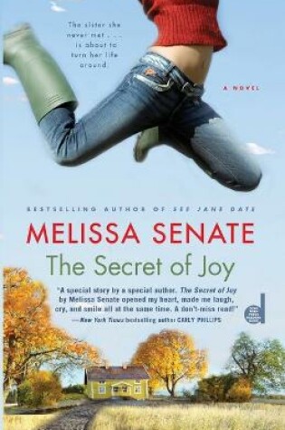 Cover of Secret of Joy