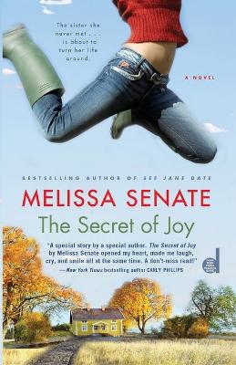 Book cover for Secret of Joy